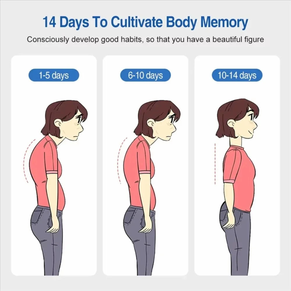 ,Infographic showing 14 days of progress in building muscle memory for a naturally straight back.