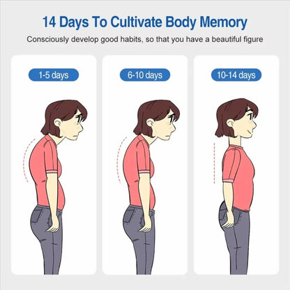 ,Infographic showing 14 days of progress in building muscle memory for a naturally straight back.